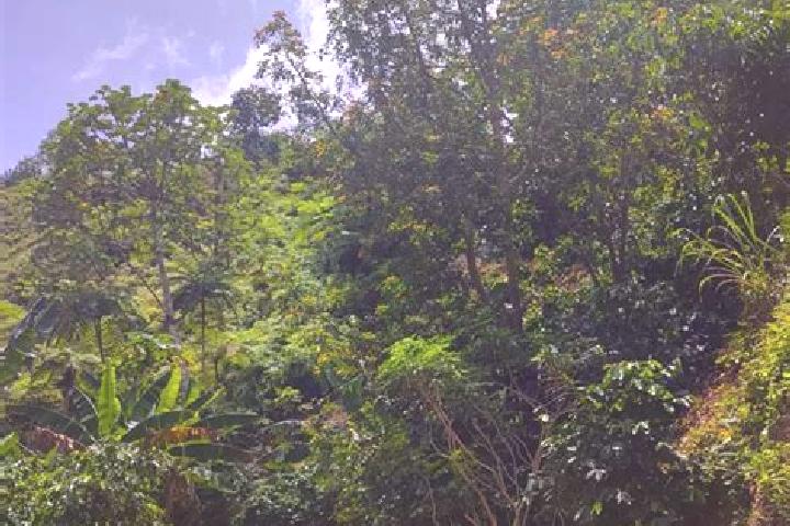 Neurontin neurontin information for patients pills