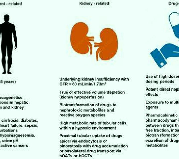 Neurontin neurontin kidney function medication