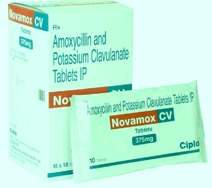 Novamox medication
