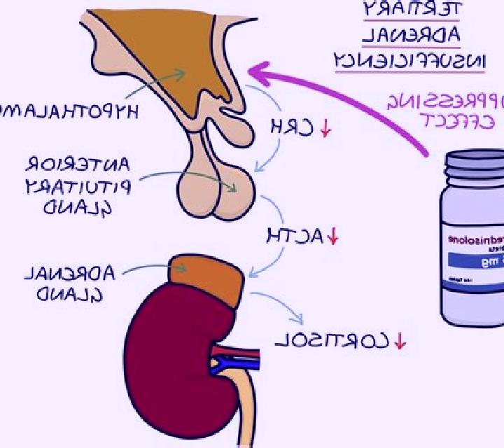 Prednisolone adrenal suppression with prednisolone pharmacy