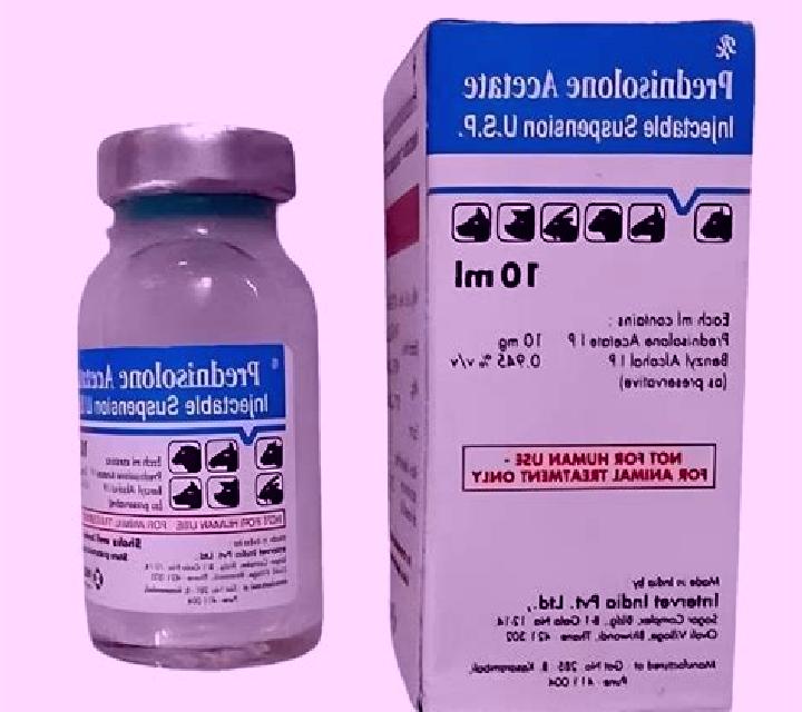 Prednisolone cat prednisolone injection medication
