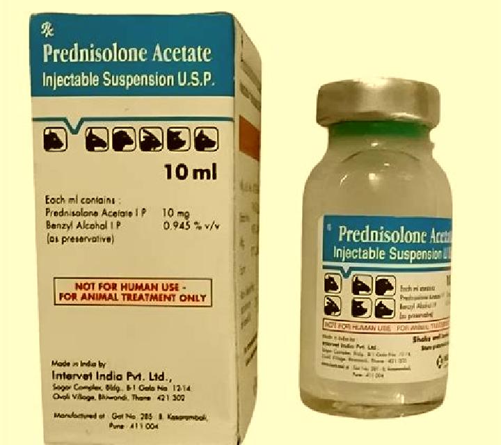 Prednisolone cat prednisolone injection pharmacy