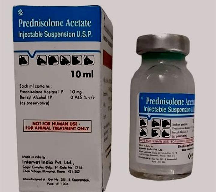 Prednisolone cat prednisolone injection pills