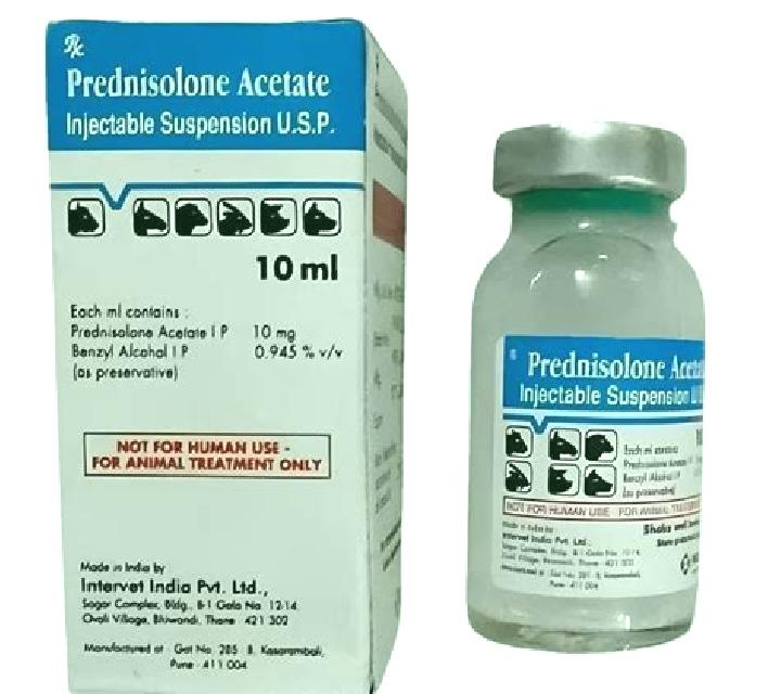Prednisolone cat prednisolone overdose medication