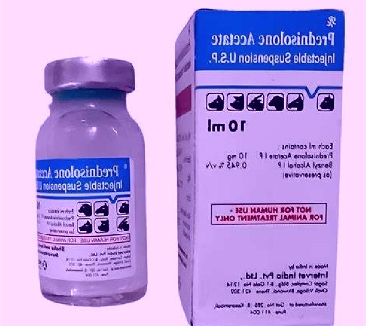 Prednisolone cat prednisolone overdose pharmacy