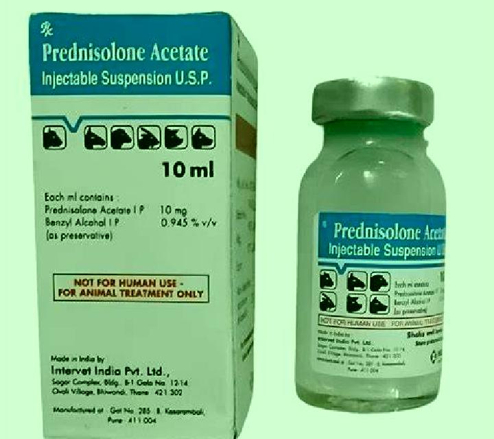 Prednisolone cat prednisolone overdose tablet