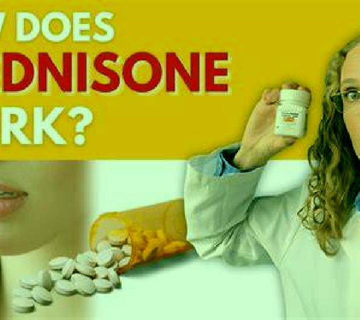 Prednisolone does prednisolone help you work pharmacy