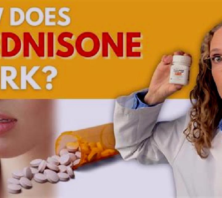 Prednisolone does prednisolone work immediately pharmacy