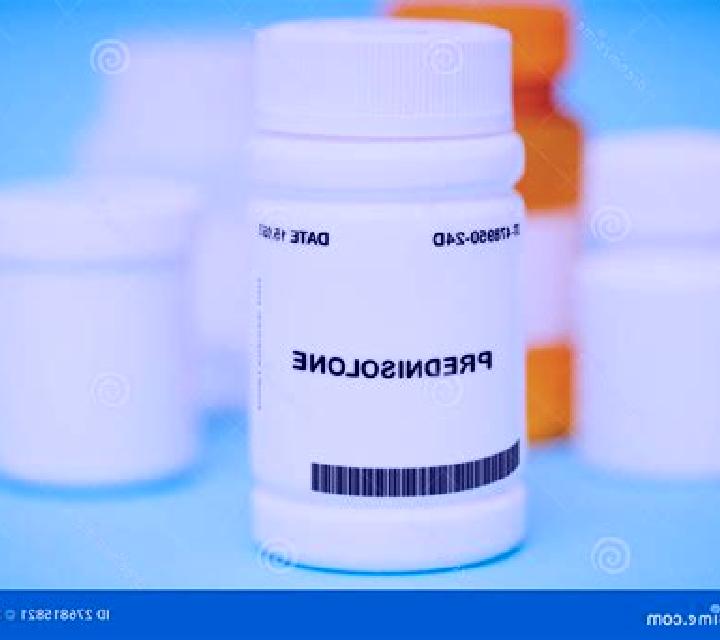 Prednisolone dogs prednisolone medication
