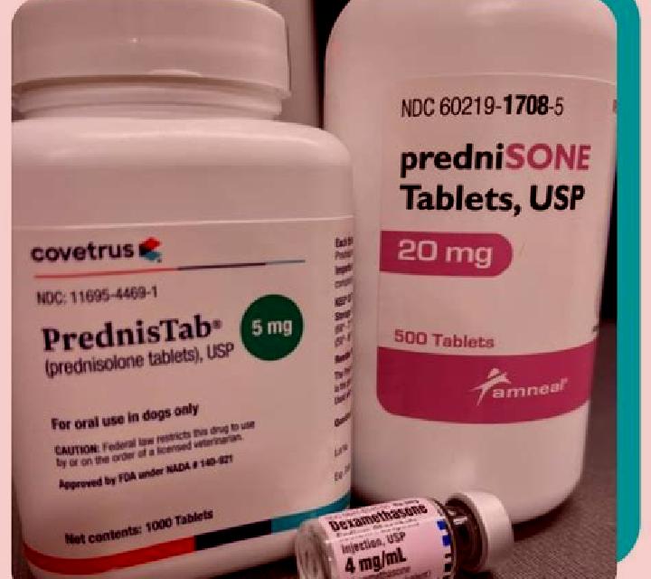 Prednisolone drug prednisolone side effects tablet
