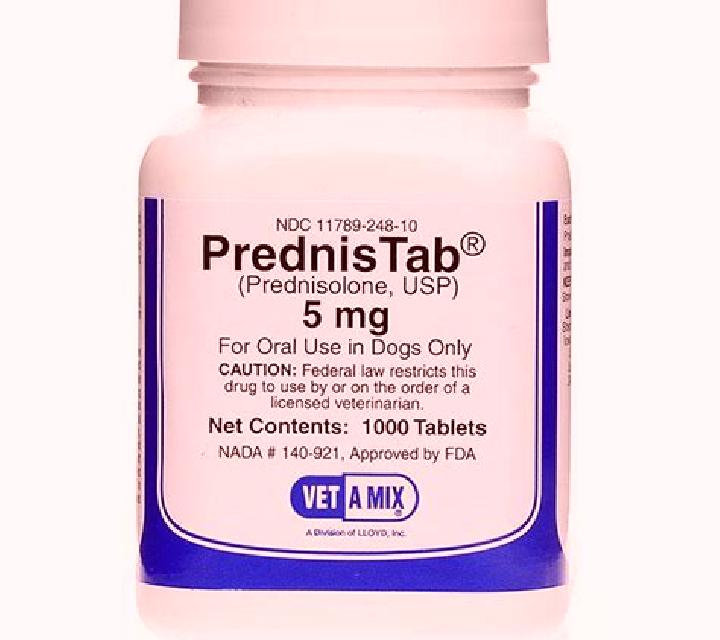 Prednisolone good rx pet prednisolone pharmacy