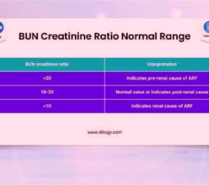 Prednisolone high bun creatinine ratio prednisolone tablet