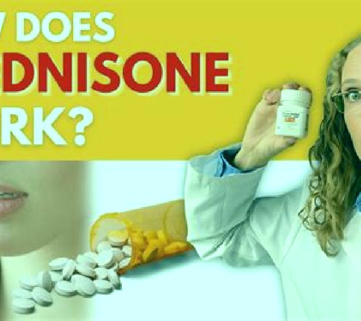 Prednisolone how is prednisolone work medication
