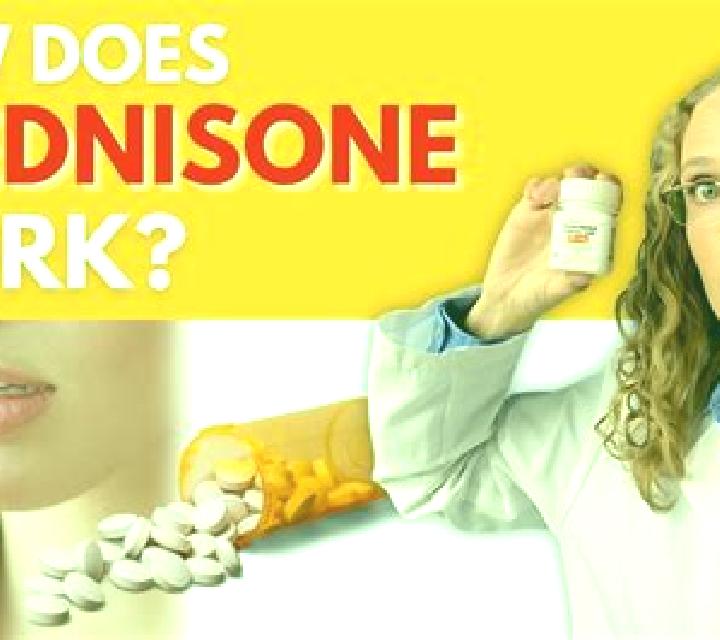 Prednisolone how long do prednisolone take to work medication