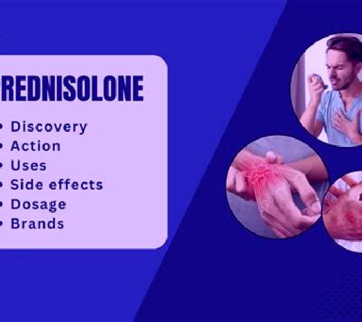 Prednisolone how long does prednisolone take to work for inflammation medication