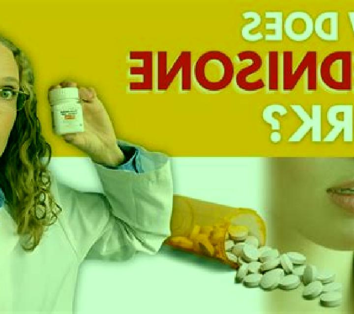 Prednisolone how long does prednisolone take to work for inflammation pills