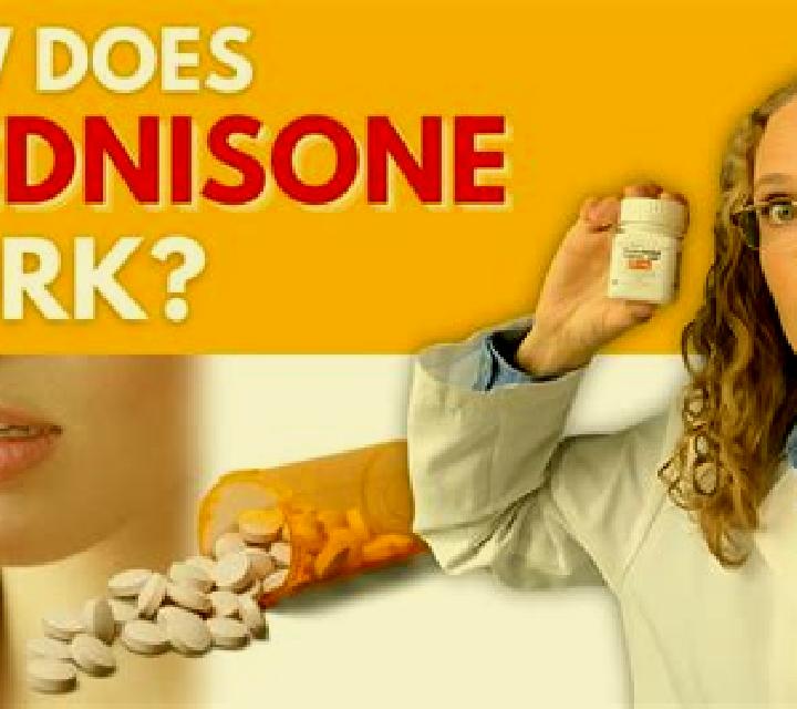 Prednisolone how quickly prednisolone work pills