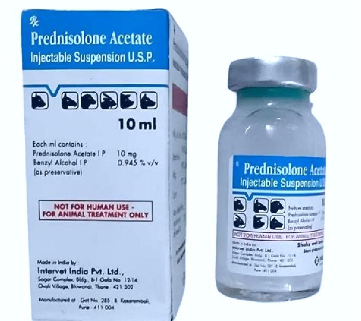 Prednisolone maxidex or prednisolone acetate dog medication