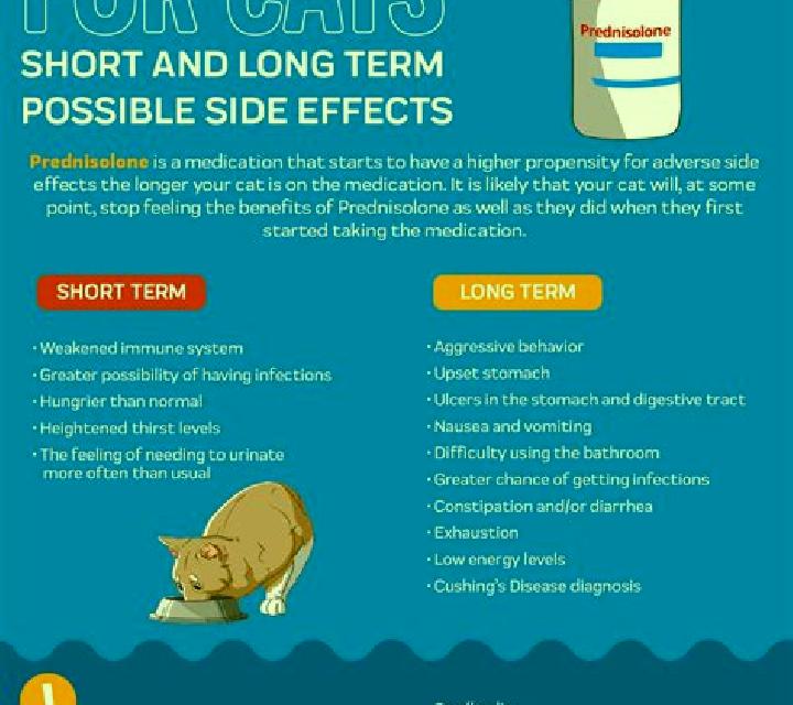 Prednisolone maximum prednisolone dose for cats medication