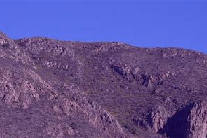 Prednisolone prednisolone and ibuprofen interaction pills