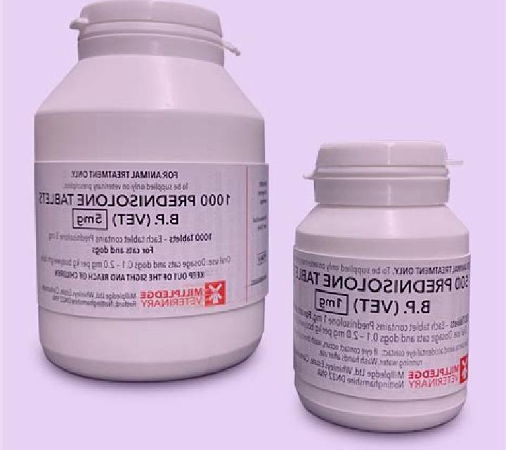 Prednisolone prednisolone bp vet tablets medication