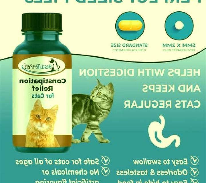 Prednisolone prednisolone constipation cats pills