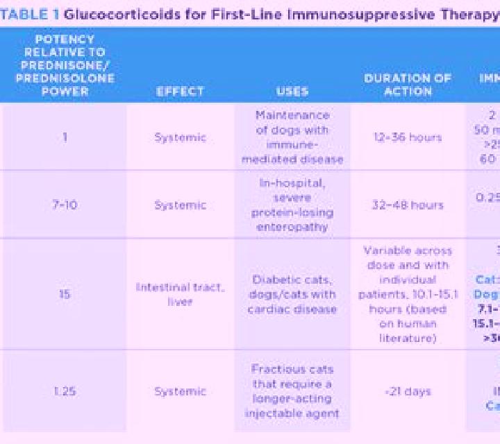 Prednisolone prednisolone dose in dog medication