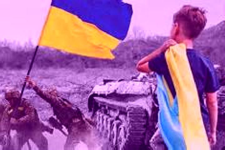 Prednisolone prednisolone for dogs amazon pharmacy