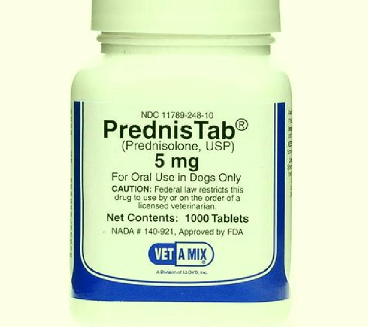 Prednisolone prednisolone for dogs medication