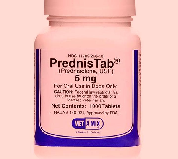 Prednisolone prednisolone for dogs pharmacy