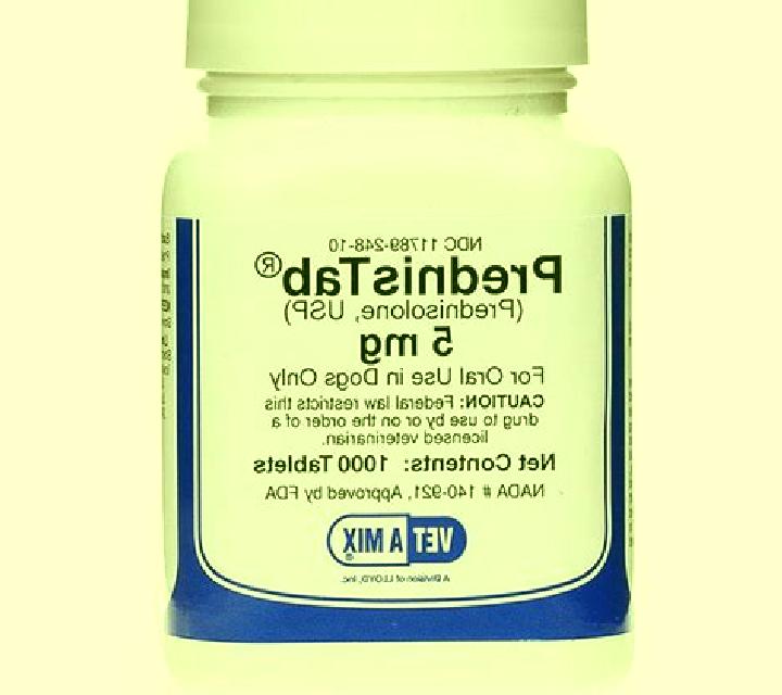 Prednisolone prednisolone for dogs tablet