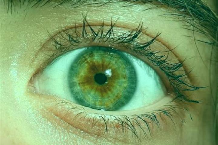 Prednisolone prednisolone for puppies pharmacy
