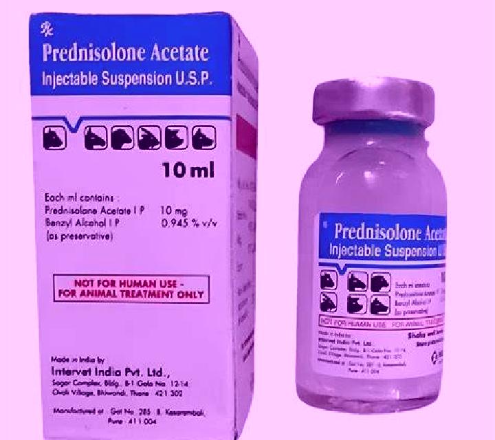 Prednisolone prednisolone injection dose medication