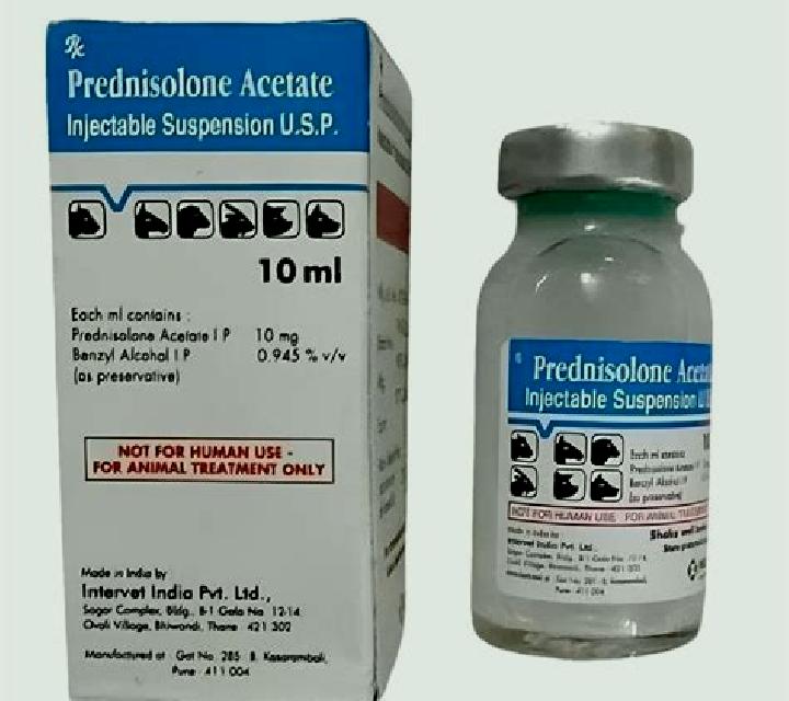 Prednisolone prednisolone injection veterinary uses tablet