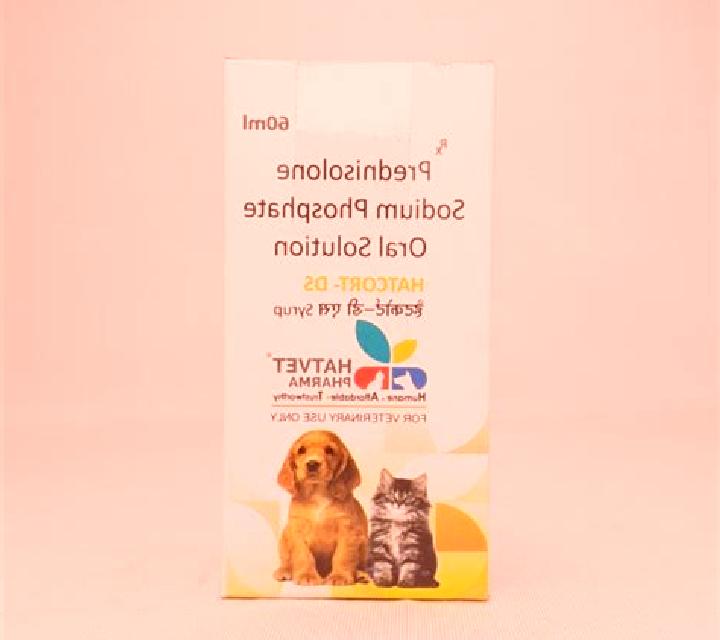 Prednisolone prednisolone syrup for dogs tablet