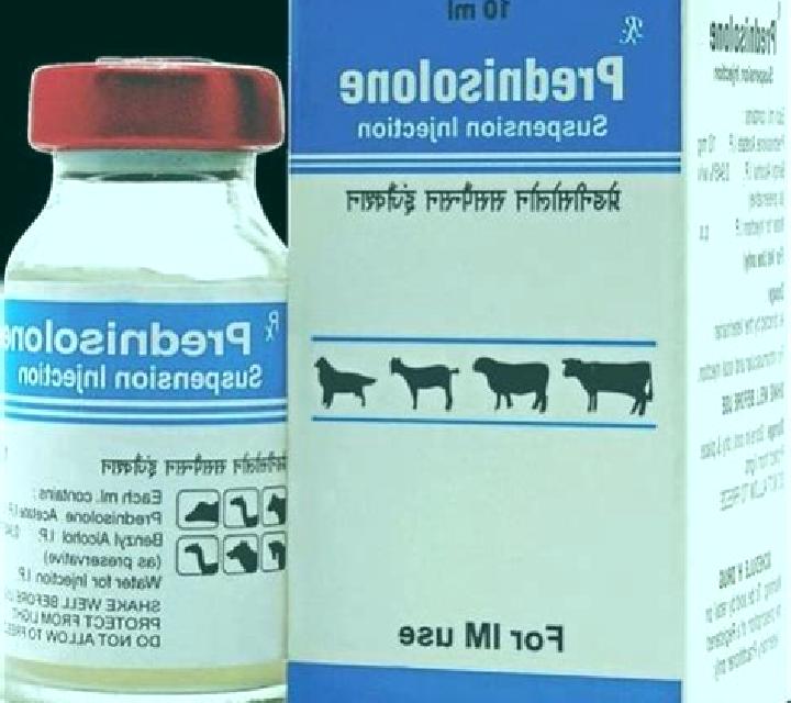 Prednisolone prednisolone veterinary dosage medication