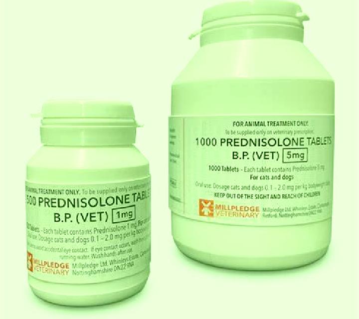 Prednisolone prednisolone veterinary dosage tablet