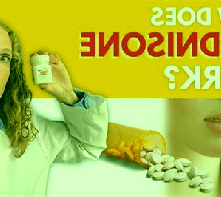 Prednisolone prednisolone what does it do medication