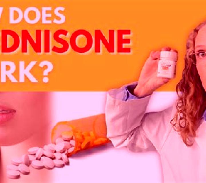 Prednisolone what does prednisolone taste like pharmacy
