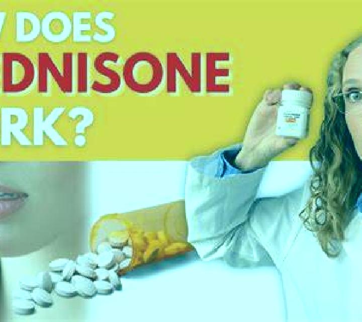 Prednisolone why take prednisolone pills