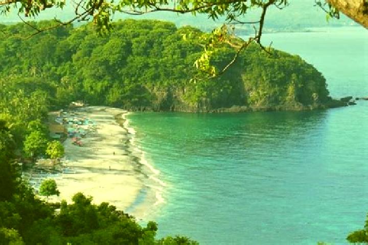 Propecia propecia and regaine medication