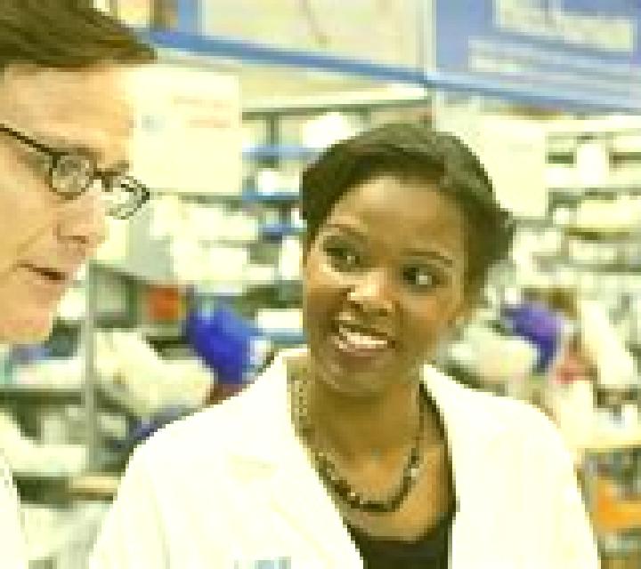 Provigil provigil 2017 pharmacy