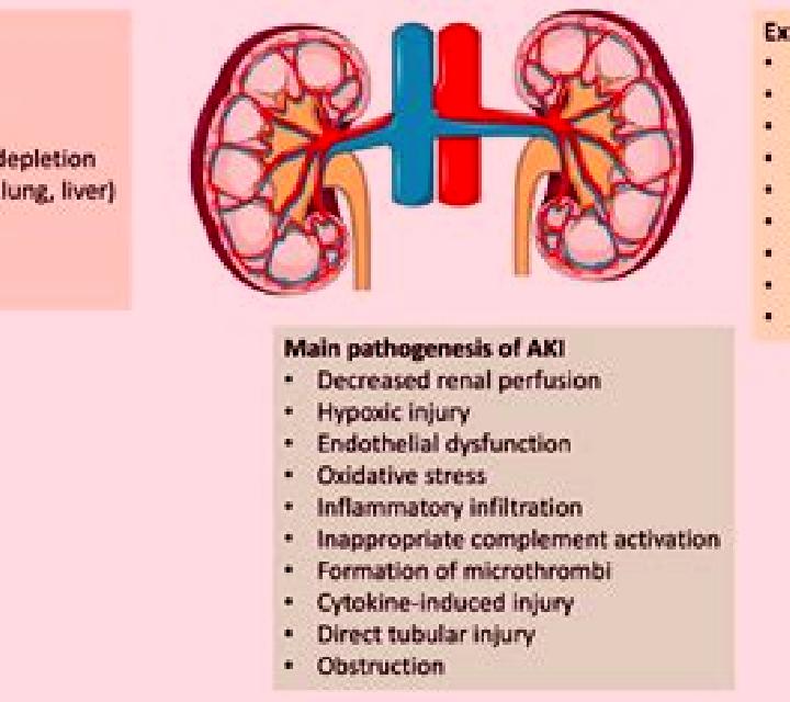 Provigil provigil kidney problems pharmacy