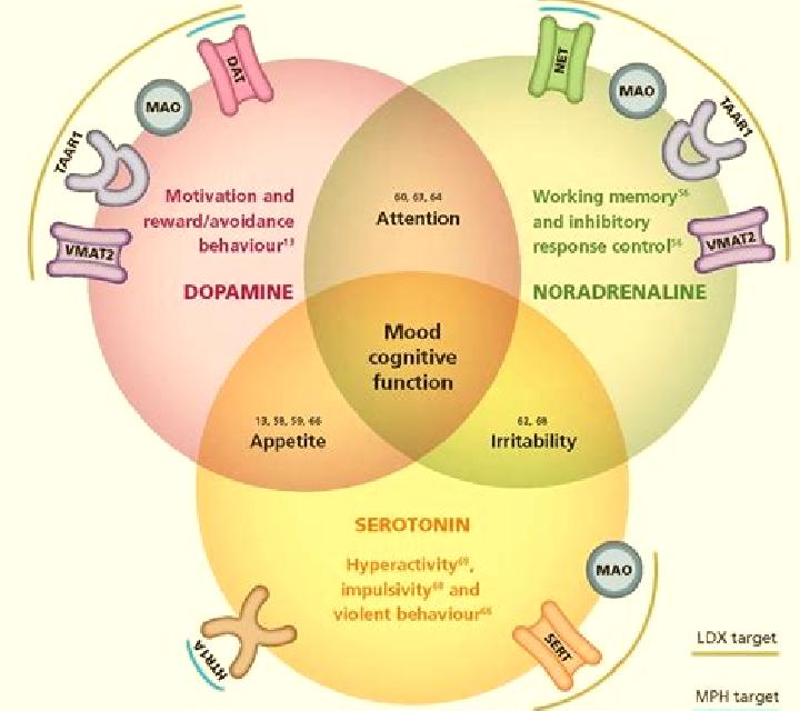 Provigil provigil mood elevation pharmacy