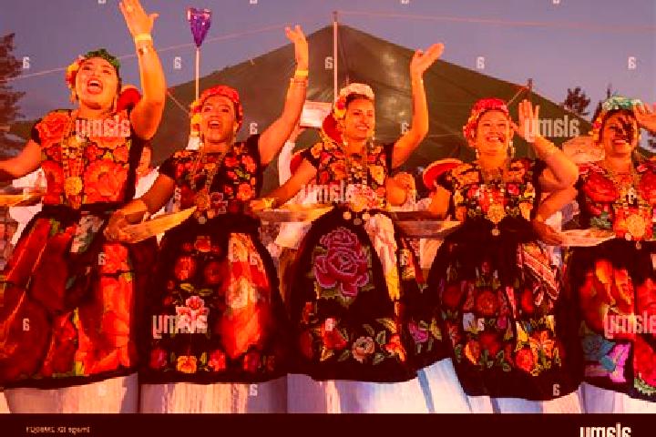 Provigil provigil weight loss dosage tablet