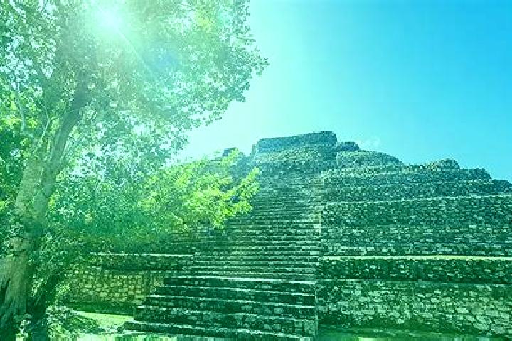 Viagra can i use viagra for premature ejaculation medication