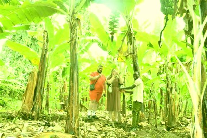 Viagra can you take viagra while on eliquis pills