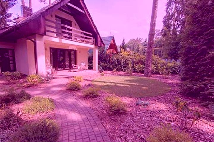 Viagra composant viagra tablet