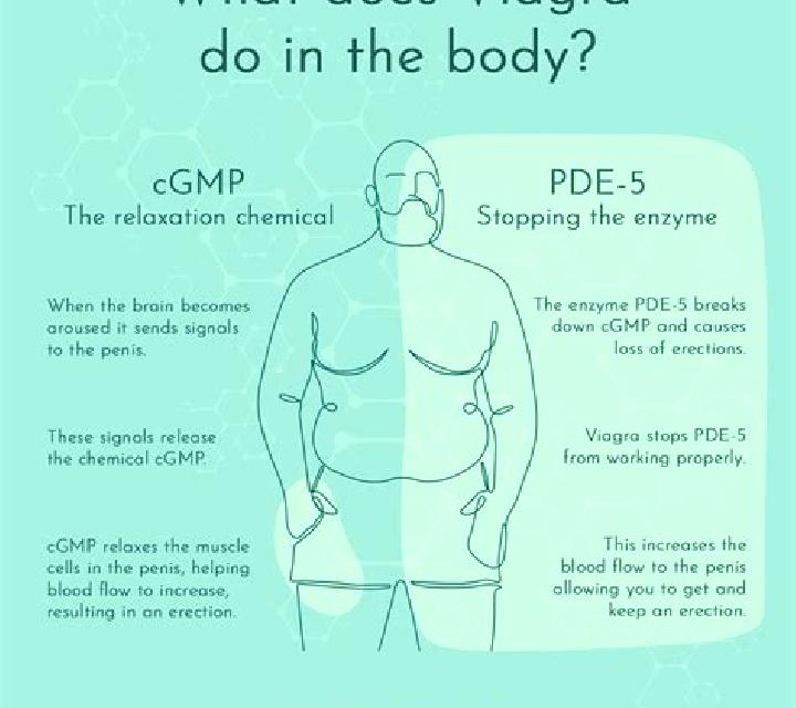 Viagra how ddoes viagra work medication