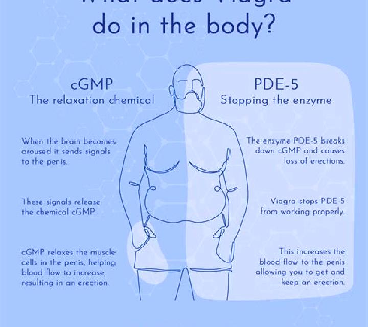 Viagra how does viagra work on the body pills